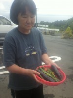 菜園5