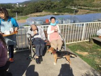 中庭４